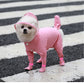 Full-Cover Dog Raincoat
